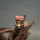 Twin Pink Pavalamalli Green Stone Kemp Finger Ring